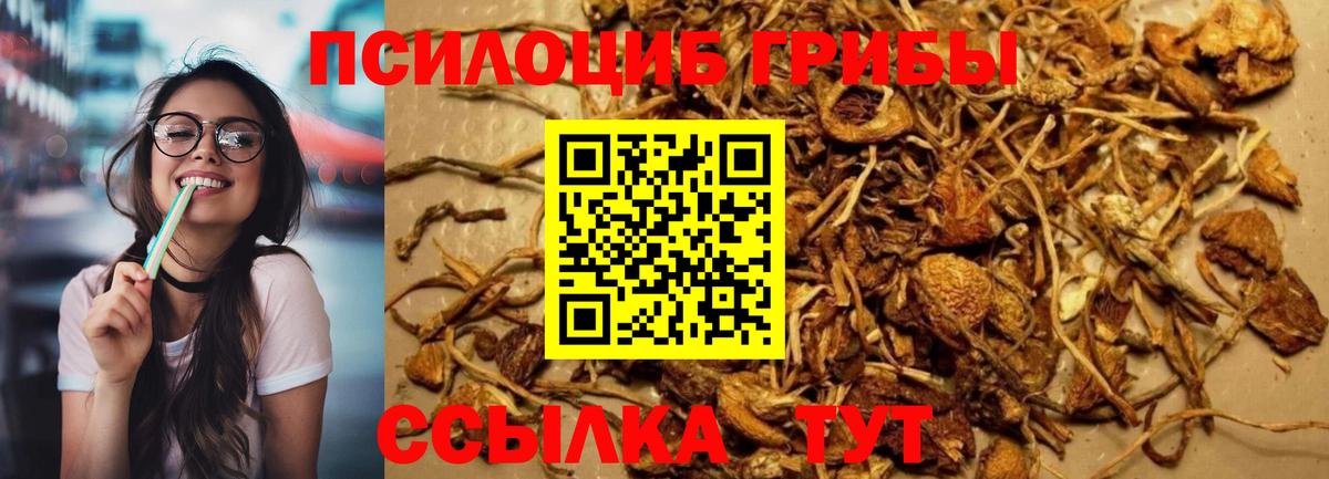 Алушта  Псилоцибиновые грибы мицелий  Вход с VPN  Галлюциногенные грибы Cubensis 